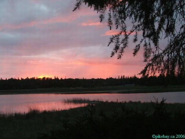 ../Images/meg july 1st 004.jpg